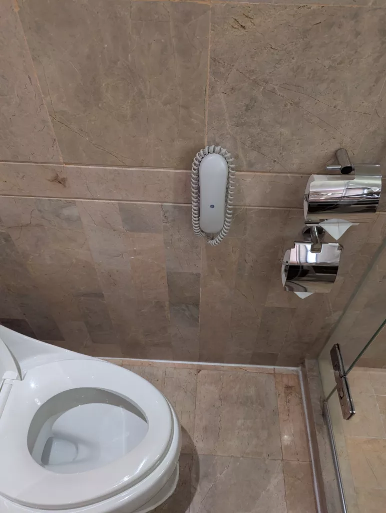 Phone by toilet.